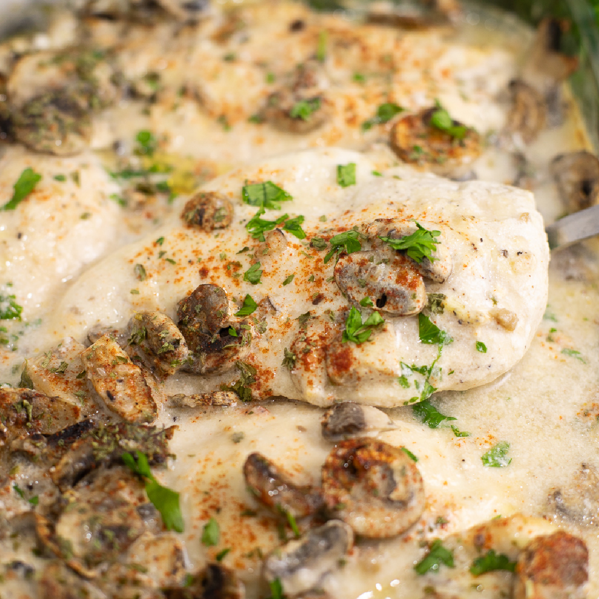 Mushroom chicken breast topped with mushrooms, paprika, and fresh parsley being lifted out of the full casserole dish.
