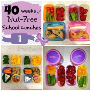 A collection of the BEST school lunch ideas for every family. Easy, healthy, allergy-conscious and gluten free, and more! From TheGraciousWife.com