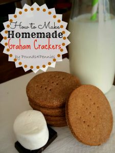 Toddler Snack Ideas-OVER 30 Snack Ideas for Kids! These easy and healthy snacks are fun and great for after school or on the go!