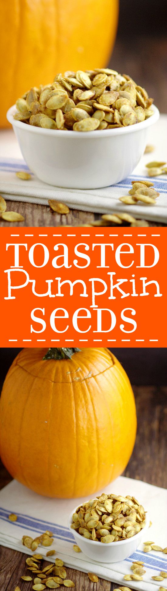 Don't throw out your pumpkin seeds! Toasted Pumpkin Seeds are a delicious and easy snack. You can make this buttery, salty goodness right in your oven! Perfect savory treat for Halloween!