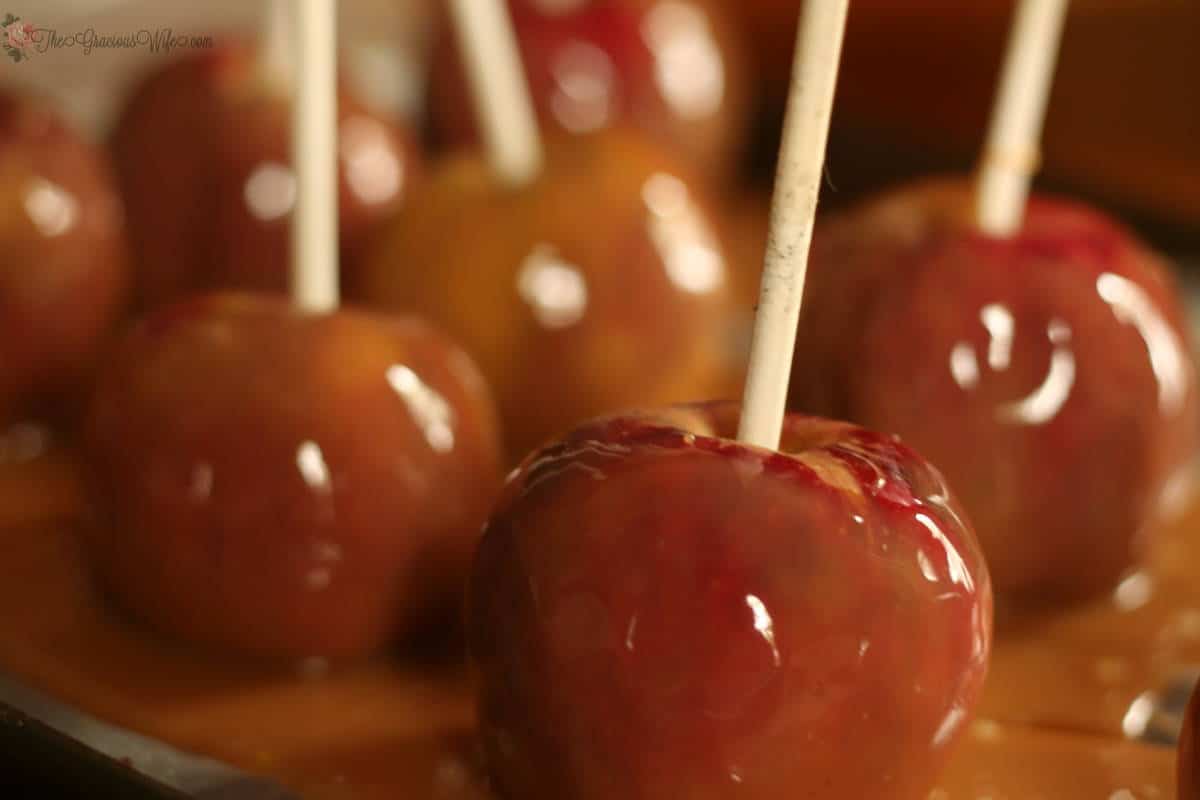 Homemade Taffy Apples- A delicious recipe to make homemade caramel apples. A perfect Fall-time treat! From TheGraciousWife.com