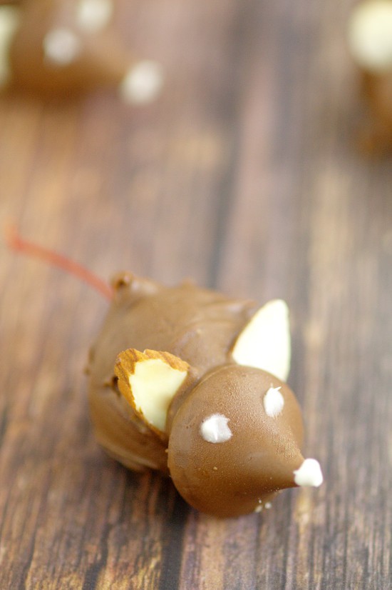 These fun Chocolate Cherry Christmas Mice made from chocolate covered cherries with almond slices and Kisses, are adorable Christmas candy treats recipe and a great addition to your dessert table. These will be so cute next to all the Christmas cookies!