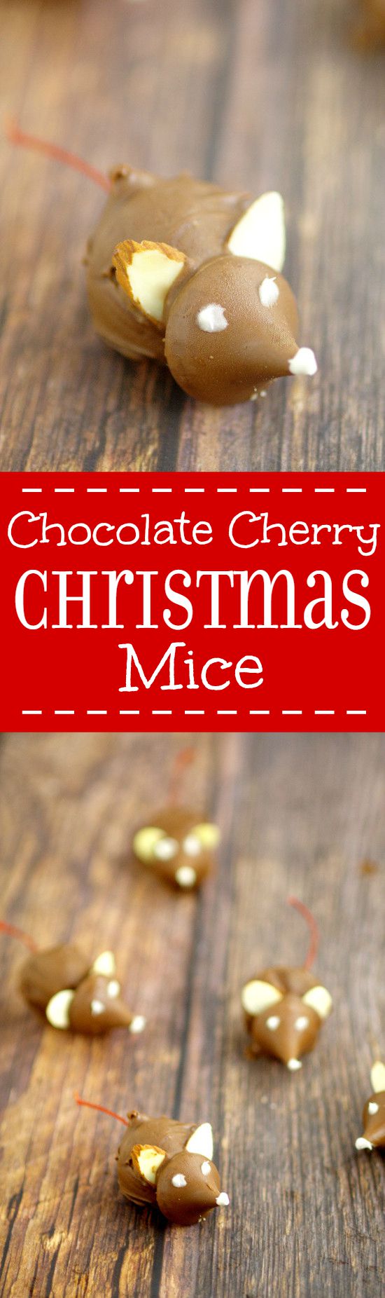 These fun Chocolate Cherry Christmas Mice made from chocolate covered cherries with almond slices and Kisses, are adorable Christmas candy treats recipe and a great addition to your dessert table. These will be so cute next to all the Christmas cookies!