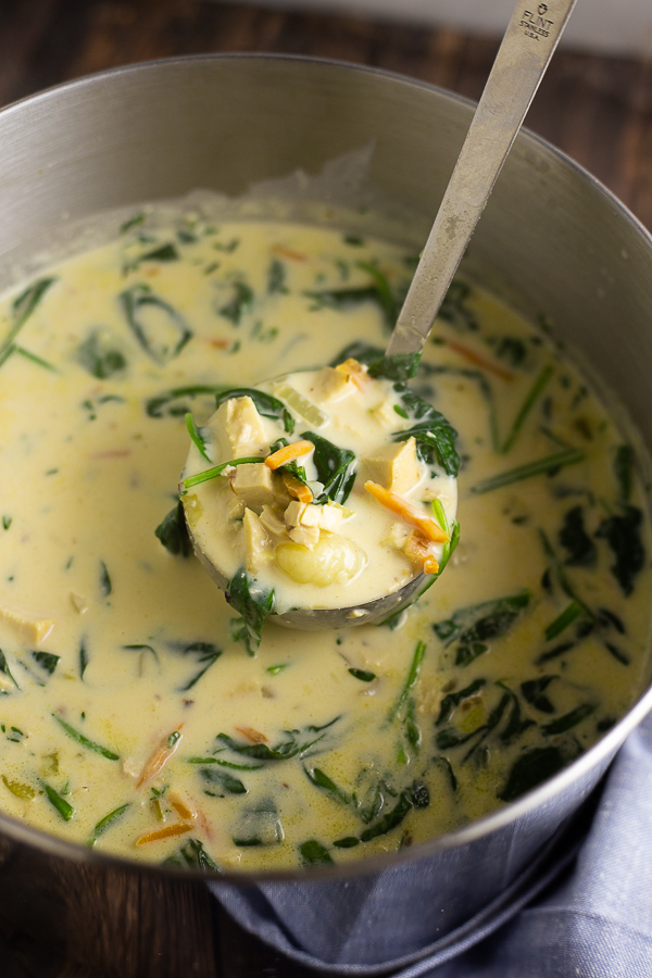 Chicken Gnocchi Soup in a large stainless steel pot with a metal ladle in the middle