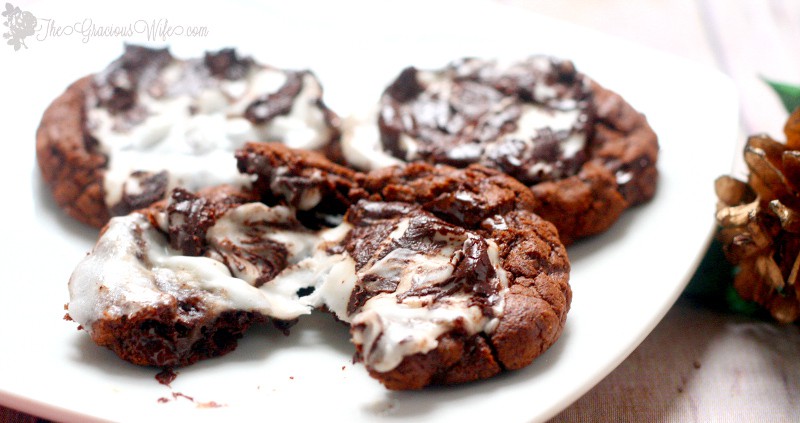 Peppermint Fudge Cookies are a chocolate fudge dream, topped with a peppermint patty for a little Christmas festiveness. Homemade Christmas Cookies are an essential for the holiday! These are the best! I mean seriously, what could be better than mint and chocolate wrapped in a delicious gooey cookie package?!