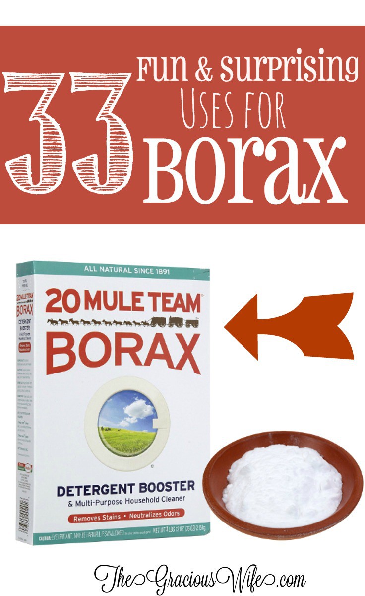 33 Surprising and Fun Uses for Borax - The Gracious Wife