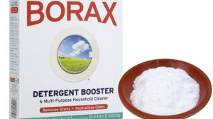 33 Surprising and Fun Uses for Borax - Cleaning, crafts, laundry, and more! So cool!
