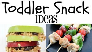 More Toddler Snacks | From TheGraciousWife.com