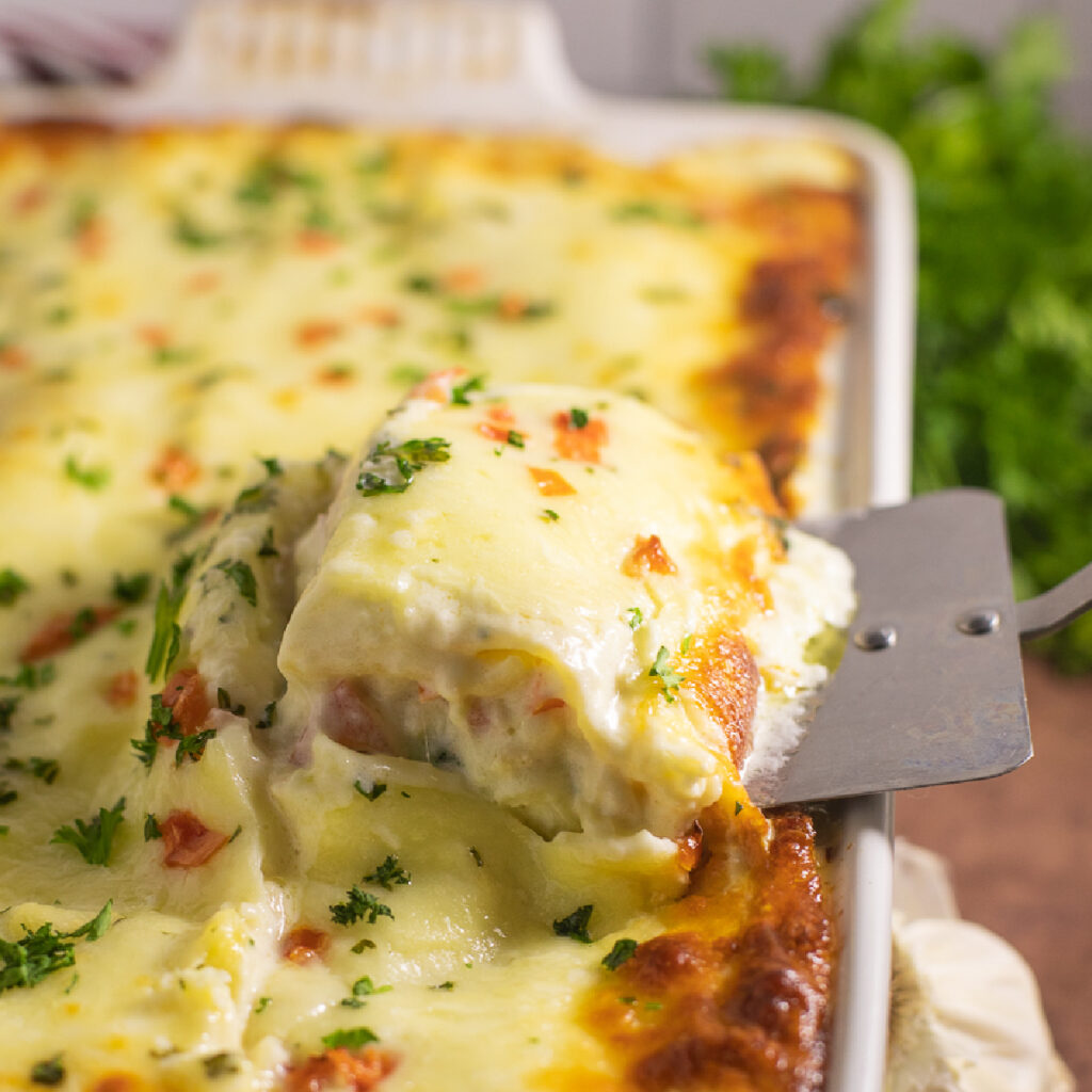 Piece of chicken alfredo lasagna being lifted out of a full large casserole dish of lasagna topped with fresh parsley and diced tomatoes with a bunch of parsley in the background