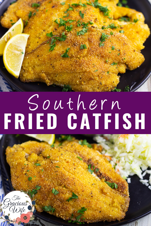 Southern Pan Fried Catfish Recipe The Gracious Wife