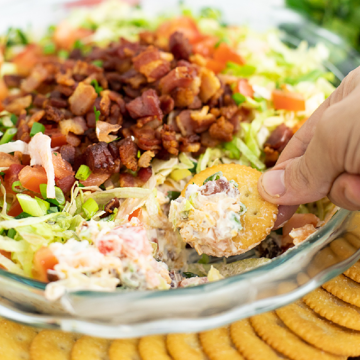 BLT Dip topped with shredded lettuce, crispy bacon, and ripe diced tomatoes with a cracker dipping into it.