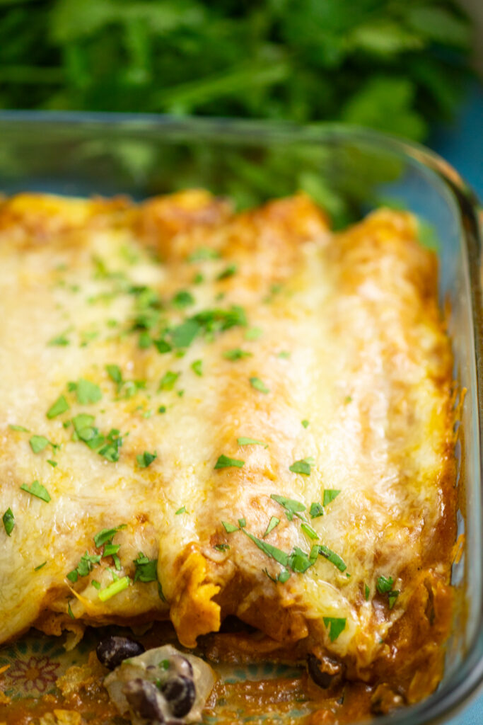 Close up of black bean enchiladas topped with fresh cilantro in a baking dish with a bunch of fresh cilantro behind.