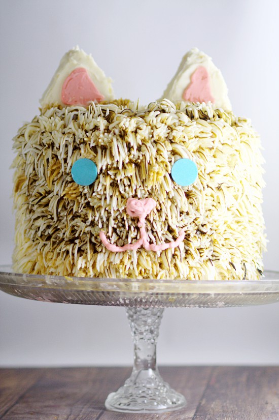 Kitty Cat Birthday Cake tutorial. An amazing but simple Kitty Cat Birthday Cake tutorial that looks seriously impressive, but is really easy to make. Perfect for the kitty cat lover in your life. Oh my goodness! My daughter would love this!