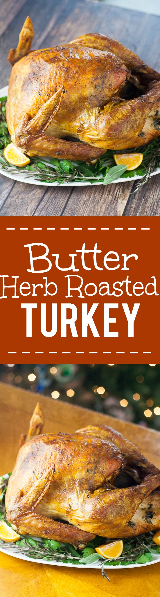 Butter Herb Roasted Turkey recipe that's perfect for a classic Thanksgiving turkey recipe - Golden, juicy, and delicious, this Butter Herb Roasted Turkey recipe won't disappoint with a hint of buttery herb flavor and a beautiful color. Will be the highlight of your holiday table!