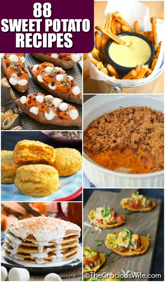 Sweet Potato Recipes - Side Dishes, dinners, breakfast, and dessert. 88 of the BEST Sweet Potato Recipes for warm, cozy dinners, unique breakfasts and desserts, and delicious and festive Thanksgiving side dishes. 
