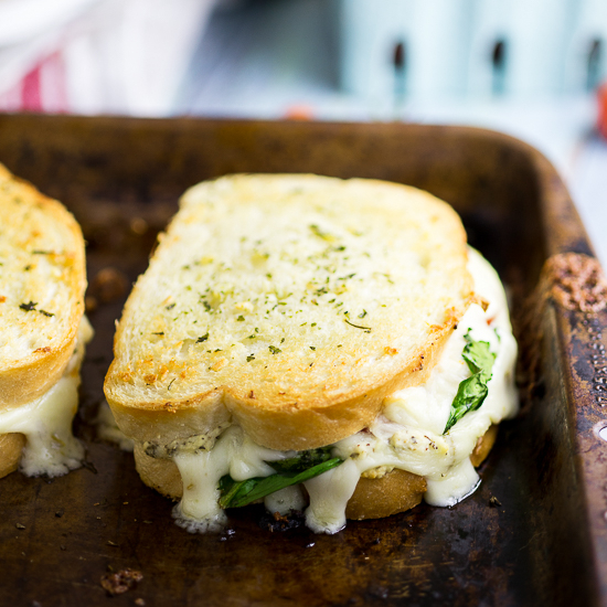 Oven Baked 5 Cheese White Pizza Grilled Cheese Recipe - Baked in the oven to golden, gooey perfection, this deluxe 5 Cheese White Pizza Grilled Cheese is the ultimate cheesy sandwich with 5 types of real cheese, a garlic herb ricotta spread, garlic butter, tangy cherry tomatoes and spinach. 