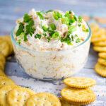 Cheddar Bacon Garlic Dip Recipe - Three favorite flavors come together in this simple but amazing Cheddar Bacon Garlic Dip recipe, with cheddar cheese, bacon, and garlic, in a creamy cream cheese dip. 