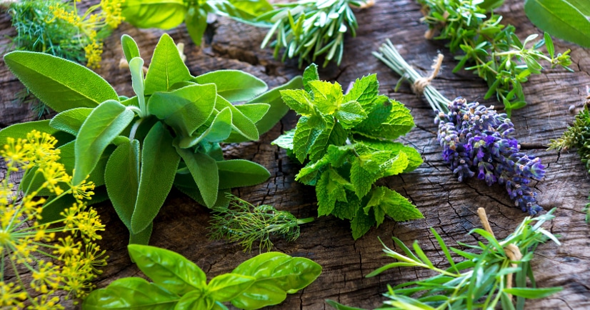 10 Ways Growing Your Own Herbs Saves You Money - Herbs are incredibly useful in cooking, crafting, beauty products, and more, but they can be costly. Check out these 10 ways growing your own herbs saves you money and start saving now! Frugal Living | Save Money
