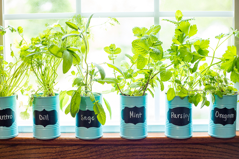 How to Make a DIY Indoor Window Sill Herb Garden - Save money, prevent food waste, and bring a little green inside with this easy and cheap DIY Indoor Window Sill Herb Garden for fresh herbs all year long!