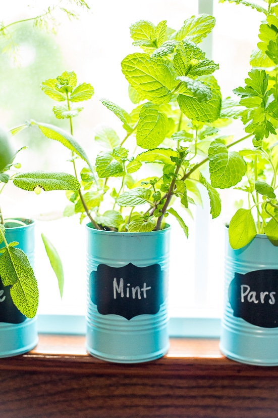 How to Make a DIY Indoor Window Sill Herb Garden - Save money, prevent food waste, and bring a little green inside with this easy and cheap DIY Indoor Window Sill Herb Garden for fresh herbs all year long!
