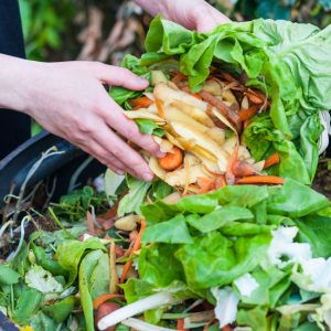 Composting Basics - Composting is great for your garden, the environment, and even your wallet (all that money saved on fertilizer!), so if you want to get started with your own compost, here are some composting basics tips for how to compost. Gardening tips