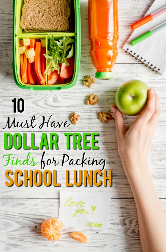 10 Dollar Tree Items Perfect for Packing Lunches - Make lunch packing quick, easy, and most of all cheap, with these 10 Dollar Tree Items Perfect for Packing in Lunches for a fun and yummy school lunch for kids! Cheap back to school lunch ideas