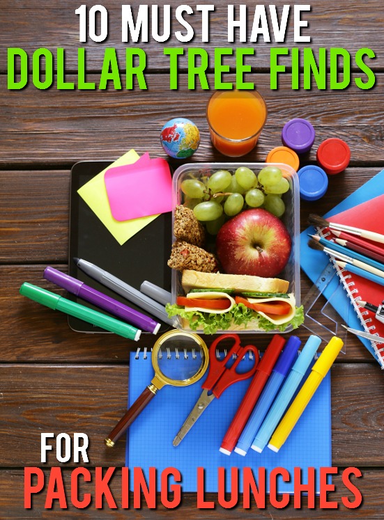 10 Dollar Tree Items Perfect for Packing Lunches - Make lunch packing quick, easy, and most of all cheap, with these 10 Dollar Tree Items Perfect for Packing in Lunches for a fun and yummy school lunch for kids! Cheap back to school lunch ideas