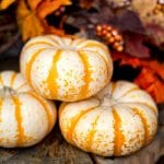 8 Frugal Ways to Decorate for Fall - Fall decor can be so fun, cozy, and comfy for the home. Make your home look, smell, and feel like Fall on a budget with these 8 Frugal Ways to Decorate Your Home for Fall! Fall leaves, pumpkins,... Not going to lie. Decorating for Fall is MY FAVORITE!
