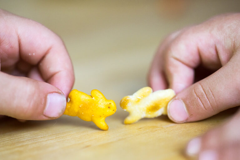 Homemade No Bake Milk and Cereal Bars The Gracious Wife