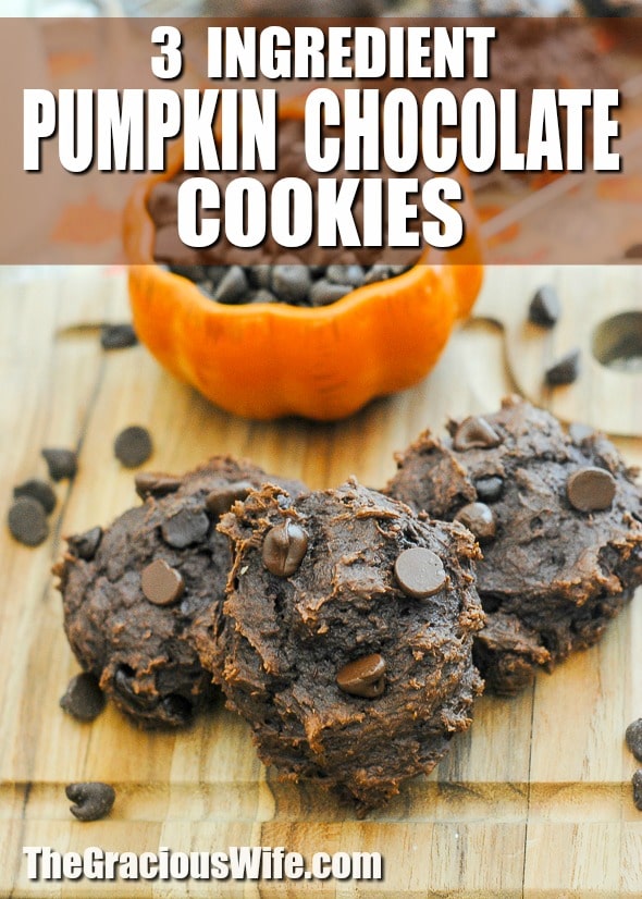 Chocolate Pumpkin Cookies Recipe - Make these rich and soft 3 ingredient Chocolate Pumpkin Cookies in just 25 minutes to satisfy both your decadent chocolate and smooth pumpkin cravings! These sound so good! I love pumpkin and chocolate!