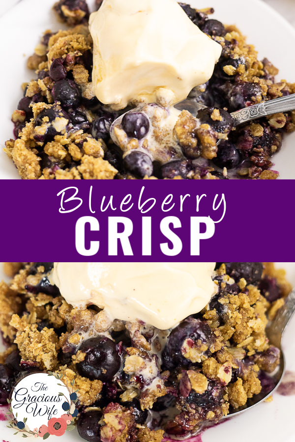Blueberry Crisp Recipe - The Gracious Wife