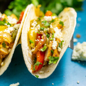 A chicken fajita in a flour tortilla topped with sauteed bell peppers and onions, cotija, and fresh cilantro on a bright blue background with a bunch of cilantro behind.