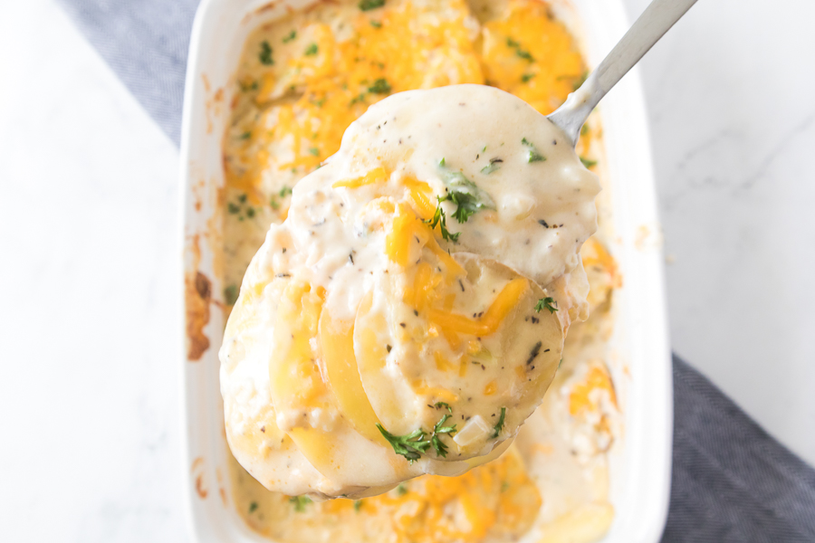 A spoon with a scoop full of cheesy scalloped potatoes with fresh thyme