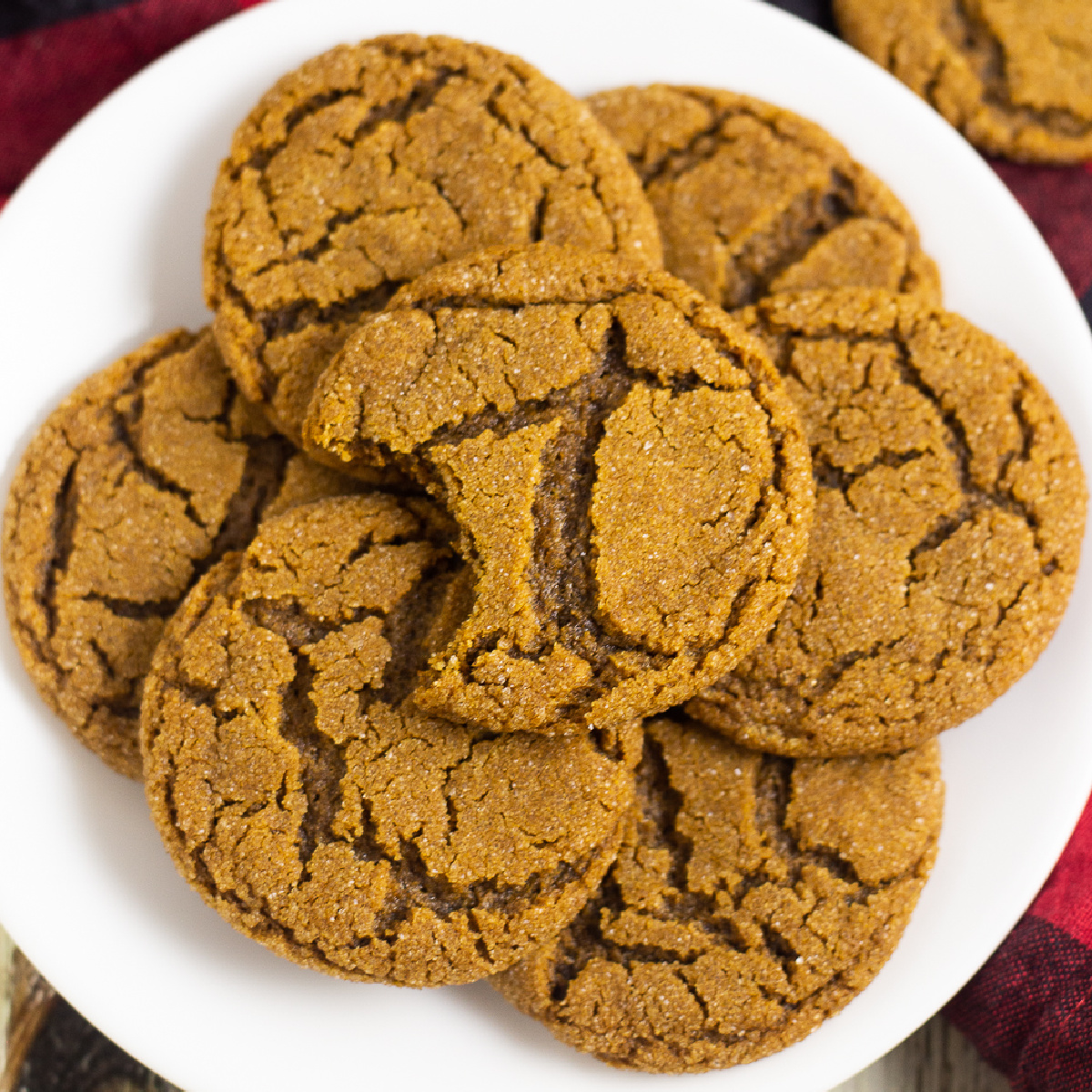 Gingersnaps Recipe The Gracious Wife