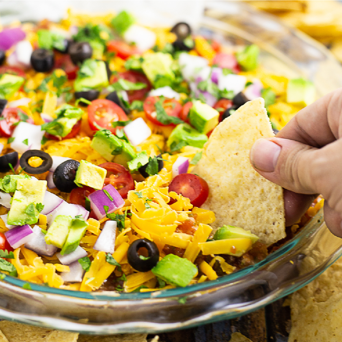 Easy Layered Taco Dip Recipe The Gracious Wife