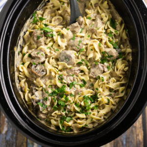 Slow Cooker Beef Stroganoff is so easy to make in the crockpot with tender beef and fresh mushrooms in a creamy herb sauce, served over warm egg noodles for a perfect comfort food family meal. A traditional recipe from scratch with sour cream that is truly the best you'll ever have!