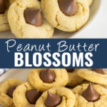 Collage with a close up of peanut butter blossoms sitting on a large ceramic plate on top, a further away picture of the same cookies on the bottom, and the words "peanut butter blossoms" in the center.