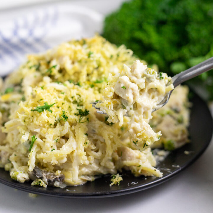 Chicken tetrazzini on a small black plate with a fork taking a bite out. Plate is on a white marble background with a bunch of parsley