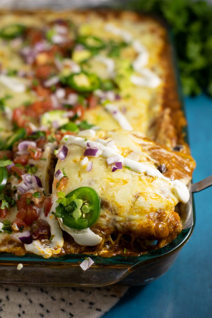 Black Bean Enchilada Casserole Recipe The Gracious Wife