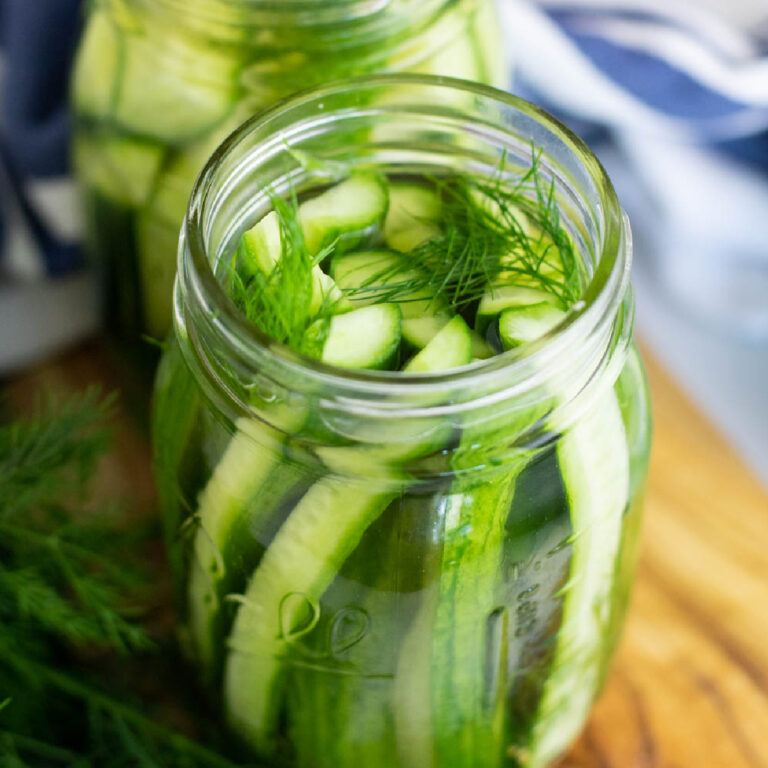 Refrigerator Dill Pickles The Gracious Wife