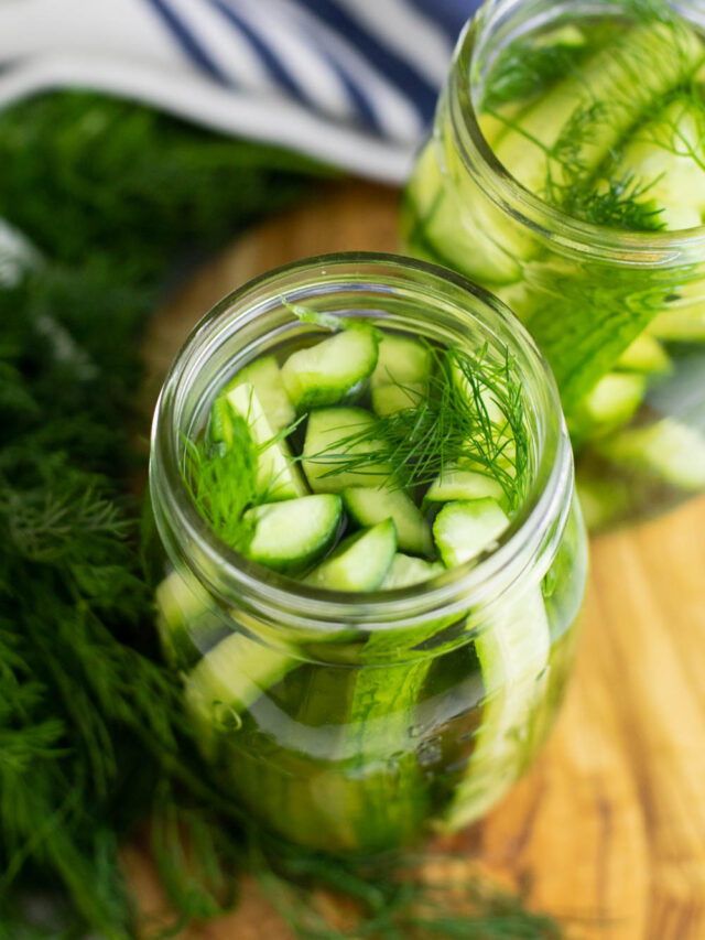 Crunchy Homemade Refrigerator Dill Pickles No Canning Needed! The