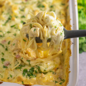 A silicone spoon scooping out a large cheesy portion of Rotel chicken spaghetti topped with fresh cilantro from a large casserole dish.