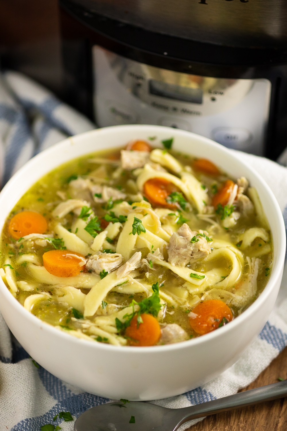 Crockpot Chicken Soup - Slow Cooker Chicken Noodle Soup