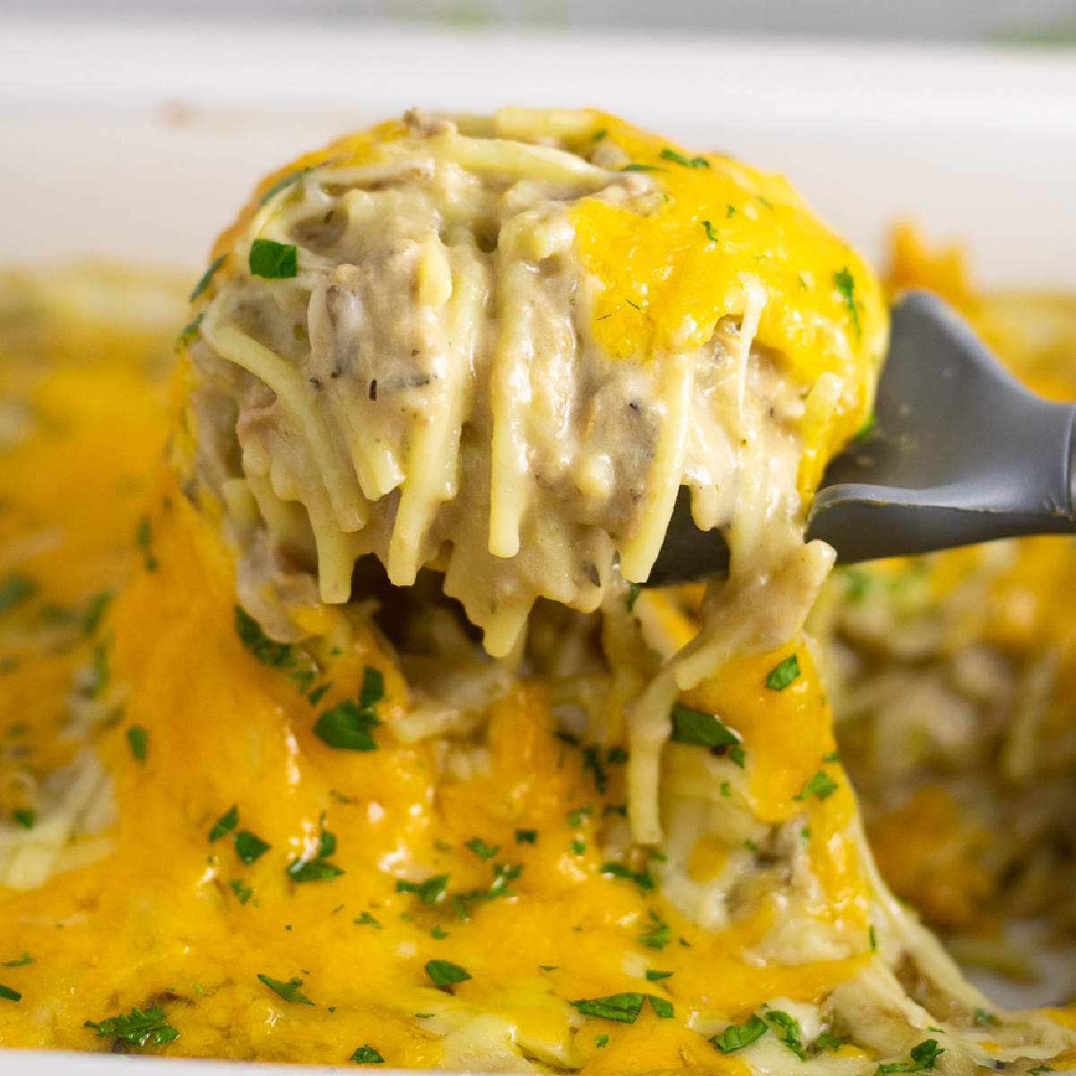 Tuna Tetrazzini The Gracious Wife