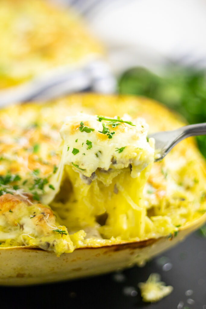 A fork taking a cheesy pulled bite of Alfredo spaghetti squash from the spaghetti squash shell.