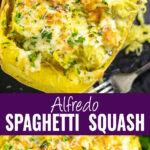 Collage with an overhead view of Alfredo Spaghetti Squash on top, the same squash with some hanging off the side on bottom, and the words "Alfredo Spaghetti Squash" in the center.
