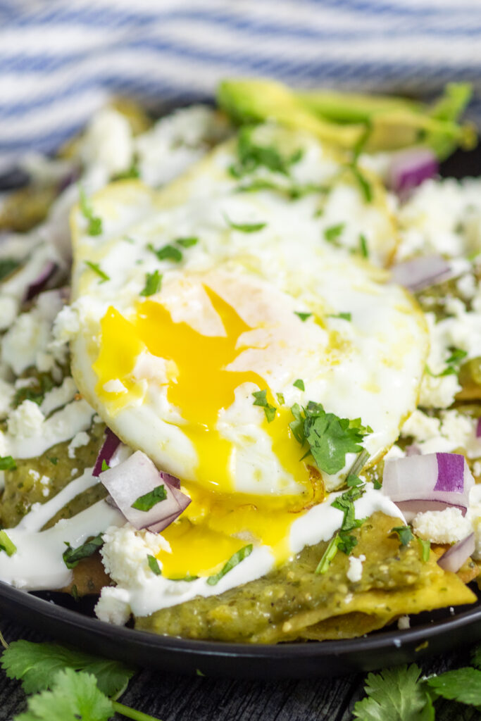 Close up of a fried egg on top of chilaquiles verdes topped with fresh cilantro with the yolk running down.
